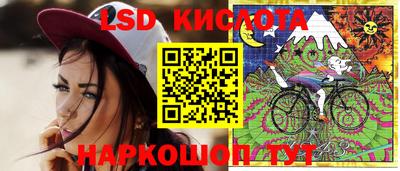 крисы Обь
