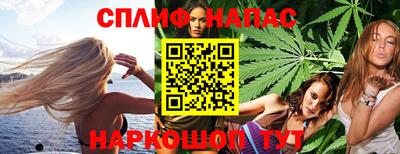 крисы Обь