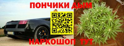 крисы Обь