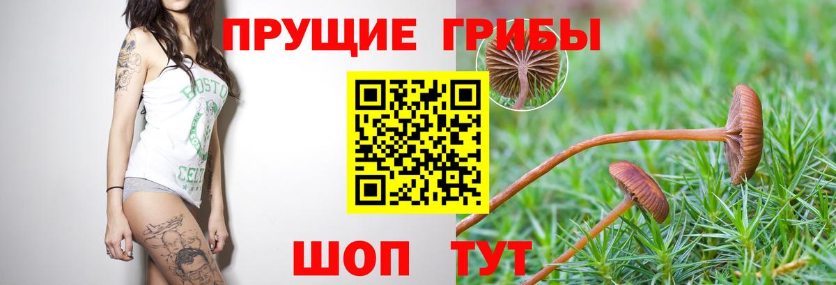 Галлюциногенные грибы мицелий Якутск